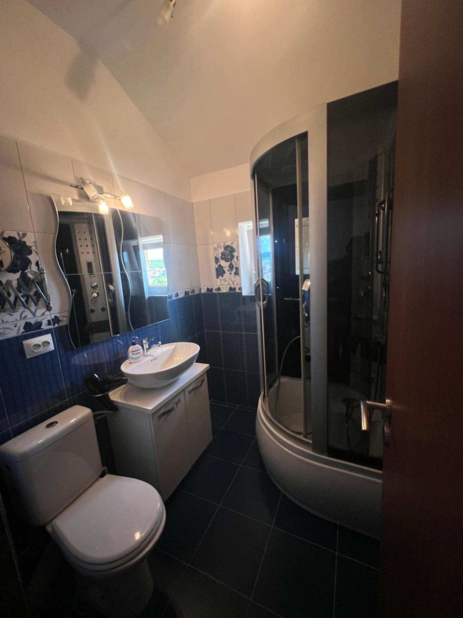 Ovidius Apartament Cisnădie Екстериор снимка
